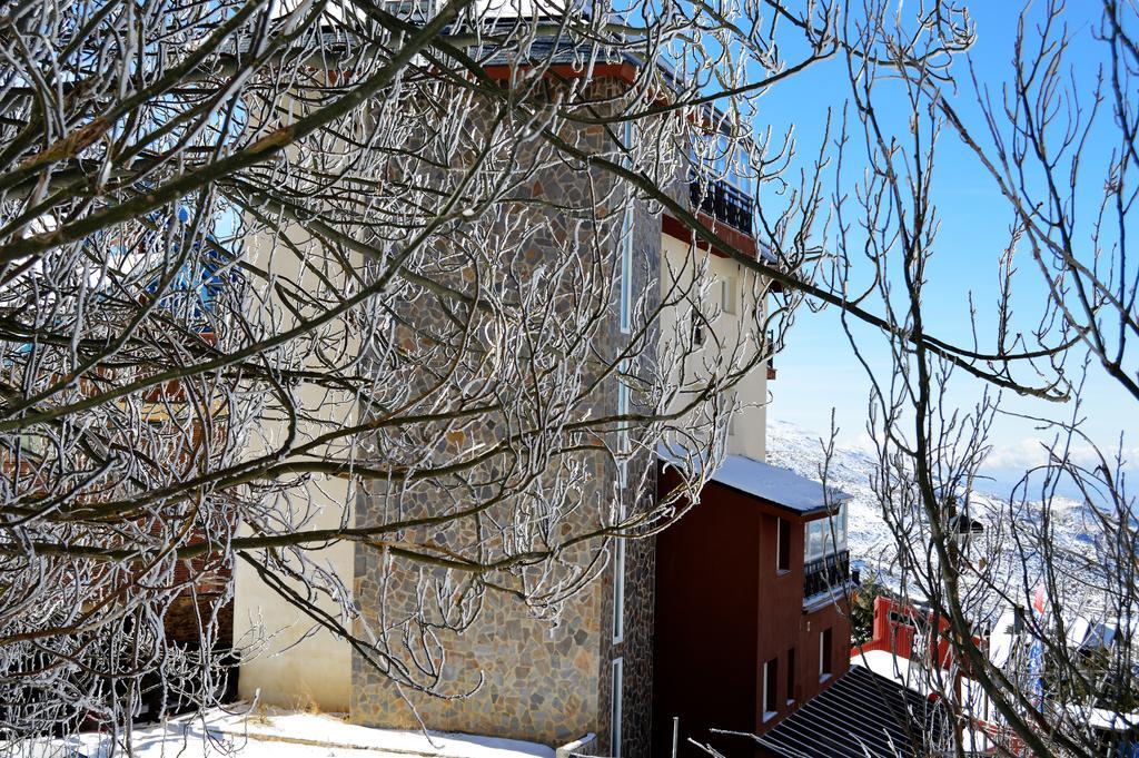 Sierra Nevada Rent Superior Apartman Kültér fotó